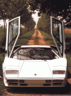 [thumbnail of 198x Lamborghini Countach Fv.jpg]